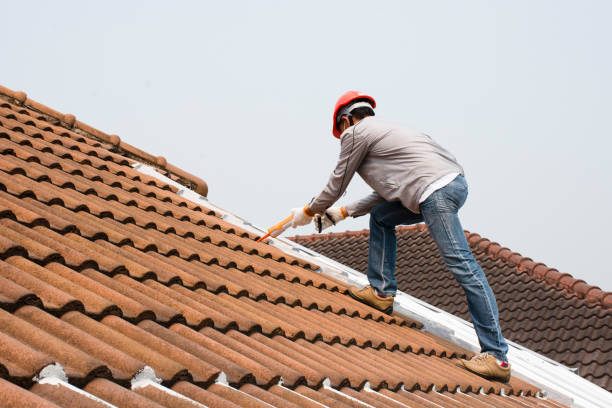Best Roof Leak Repair  in Charlotte, TX